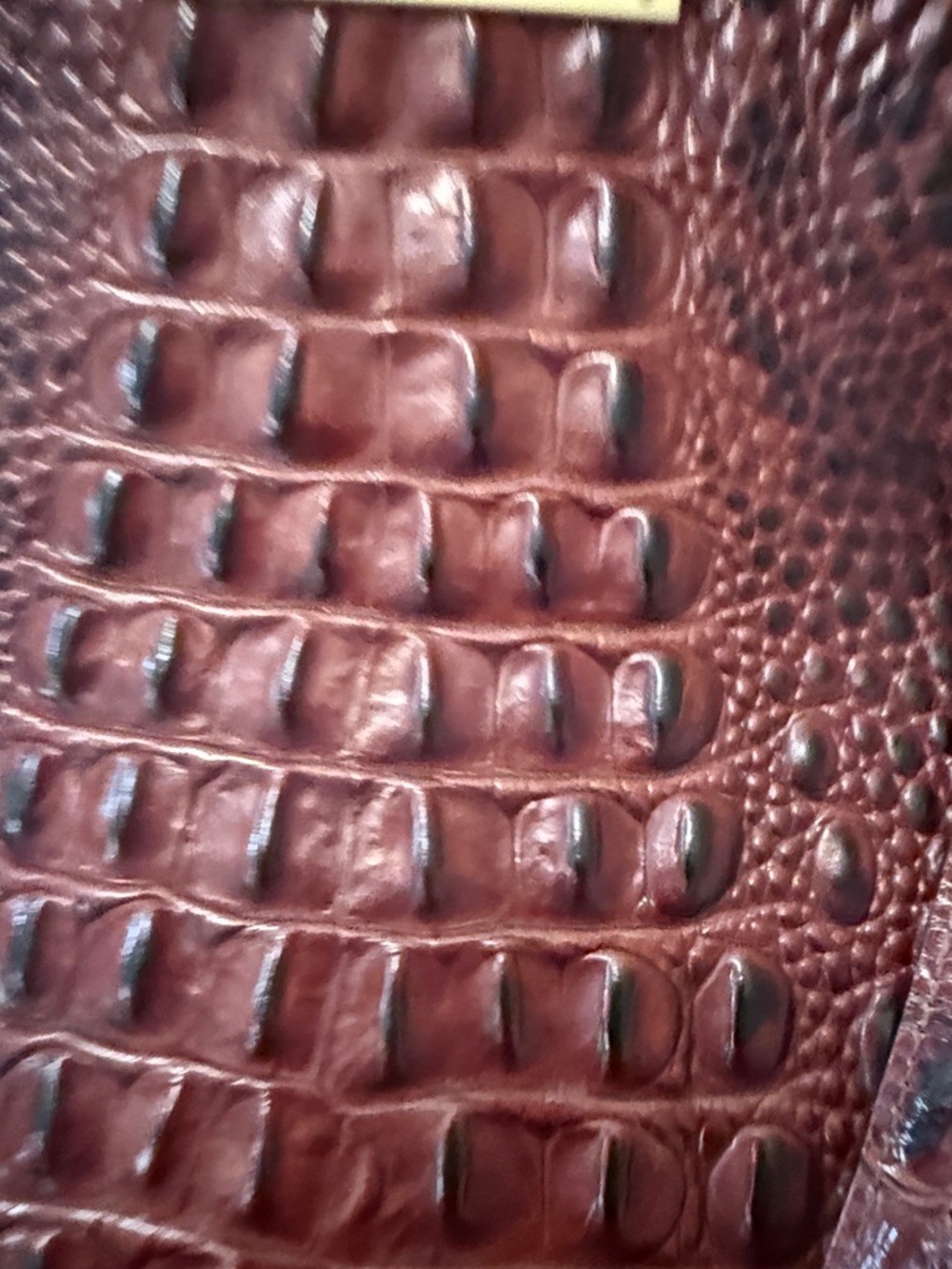 Brahmin Croc-Embossed Leather Tote in Burgundy - Picture 3 of 14